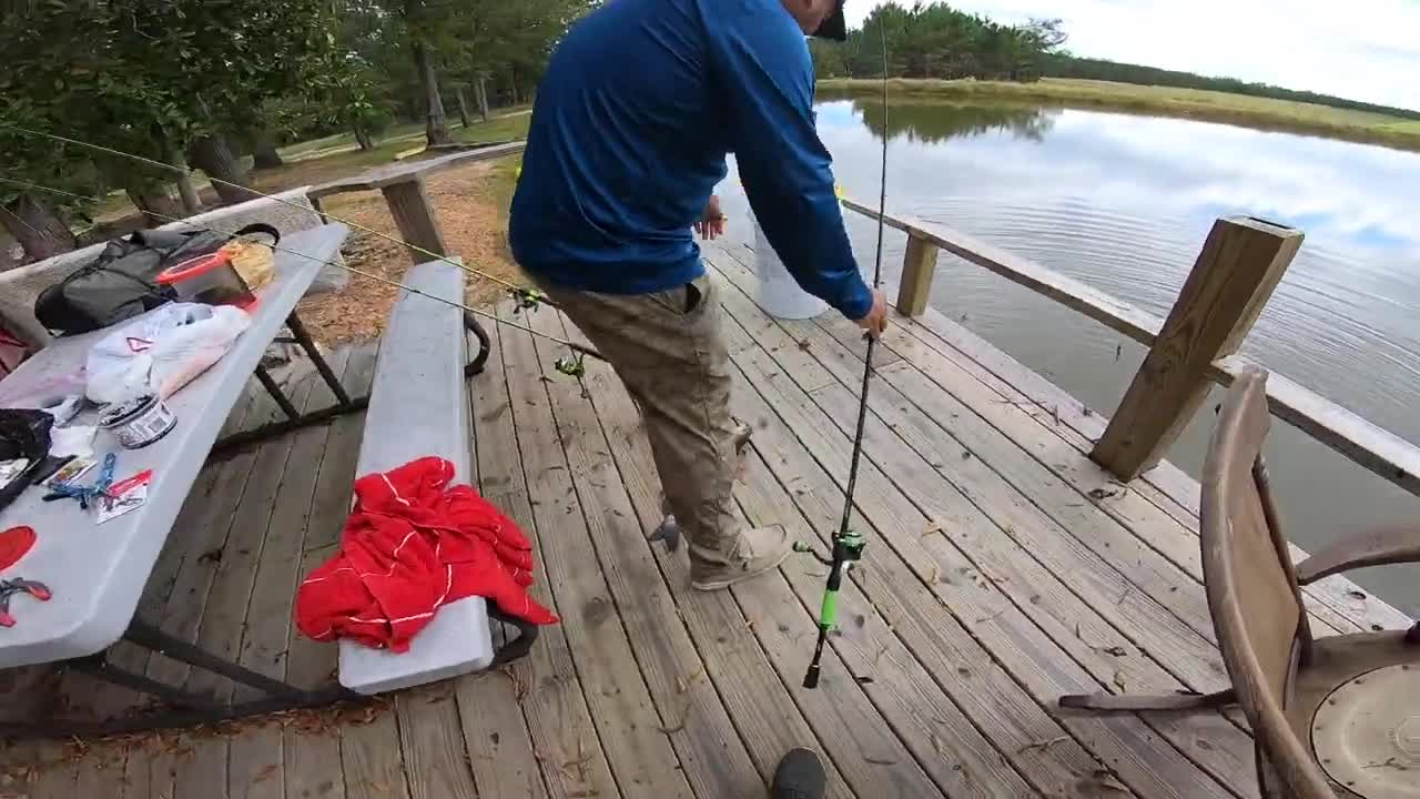 Fishing w/ BLUEGILL for POND MONSTERS