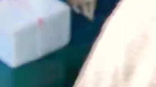 5.caring people respect ☺