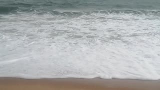 Sea Waves