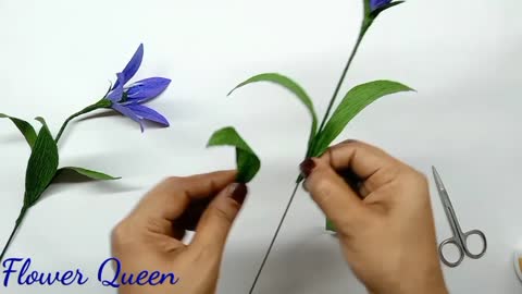 Flower meaking video