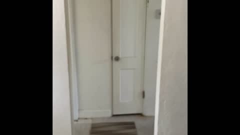 272 40th Ave NE St Pete FL