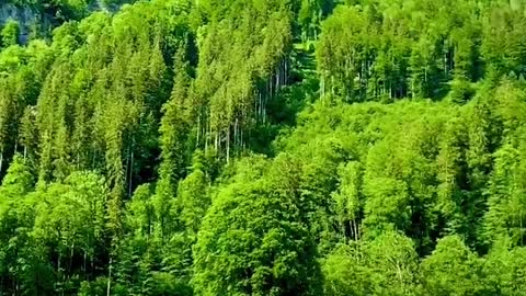 Natures love