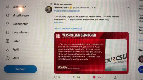 Gebrochene Versprechungen…. Merkmale deutscher Politikdarsteller…