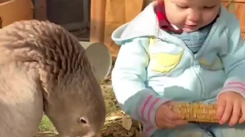 Kid love animal