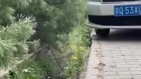 Teach you have to avoid accidents