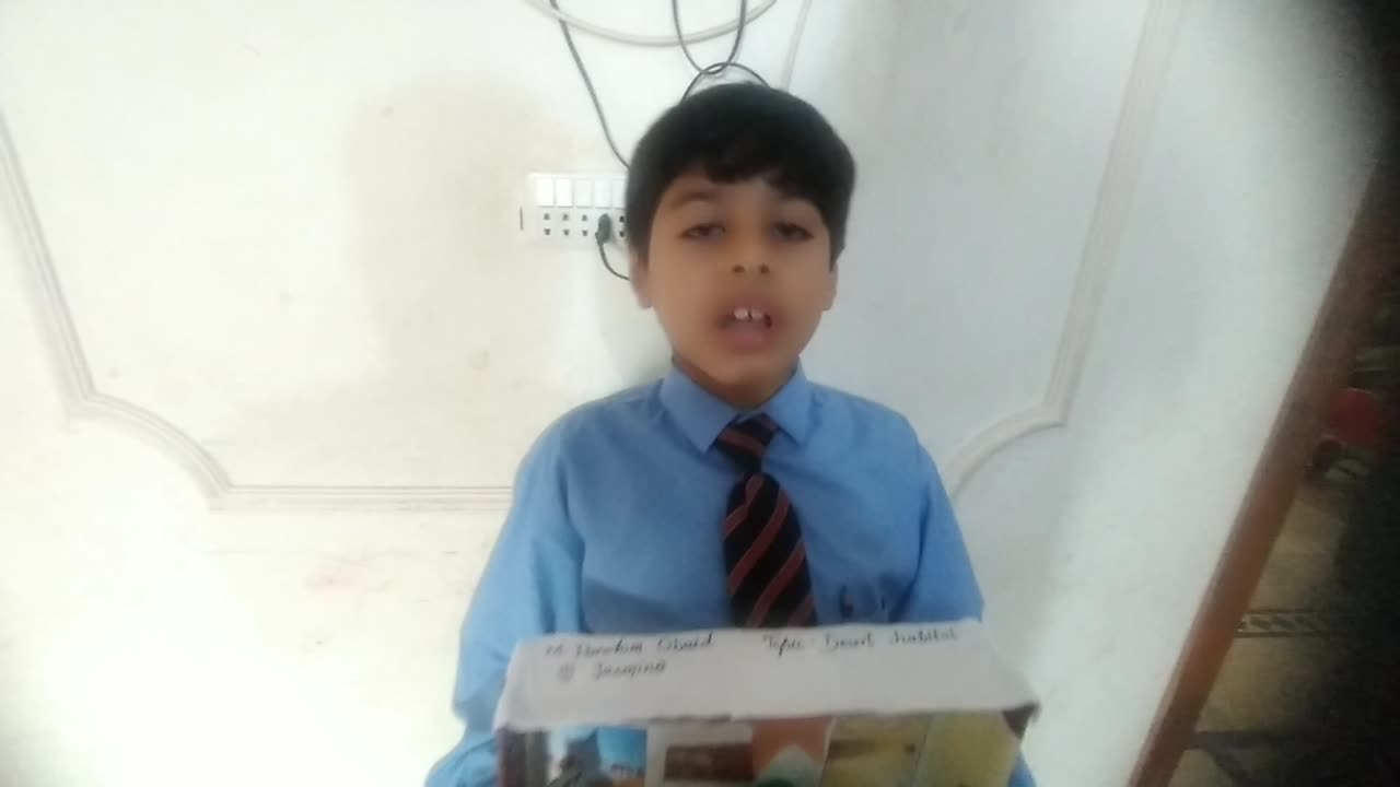 Muhammad Ibrahim Obaid Class 3.Science project Desert Habitats Hand Made.