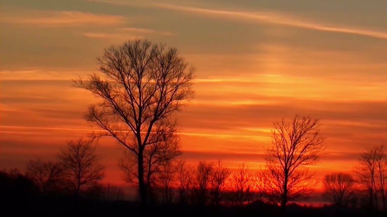 Sunset Stock Footage Royalty Free Free HD Videos