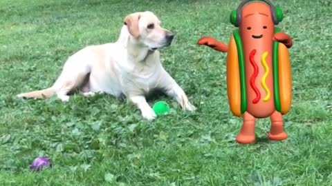 Dog sits on grass while snapchat emoji dances next to him