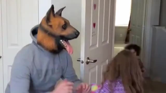 Funny Dog