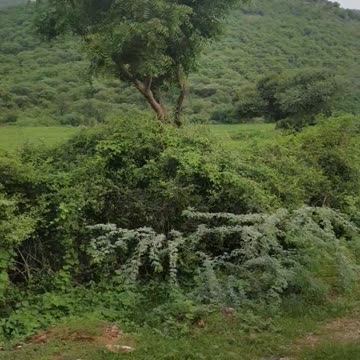 Beauty of nature in the Manson