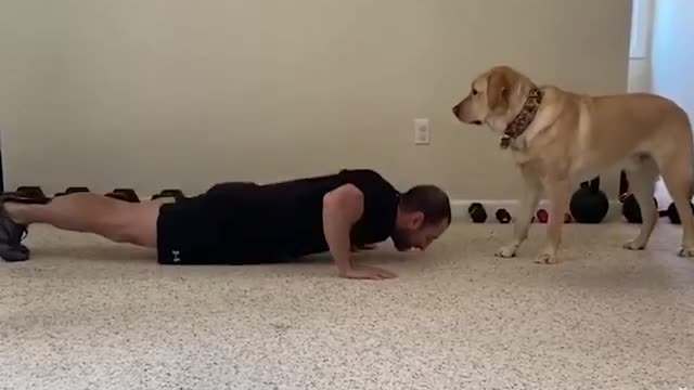 Best friends at all times! 🤣 💙🐶