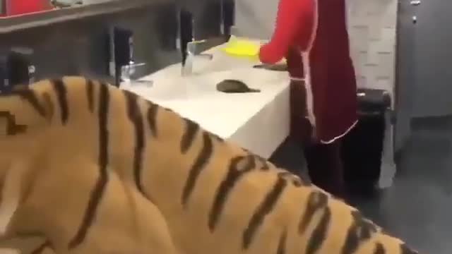 In Russia Tigers Go To The Bathroom With You