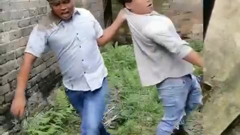 Comedy video