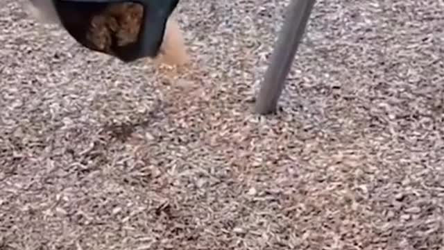 Without the earth, no one will stop rotating