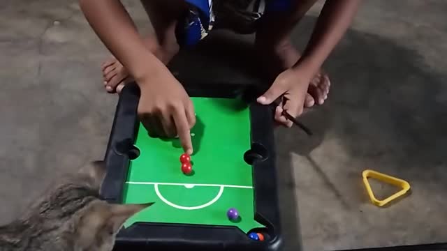 Pro Cat 😍
