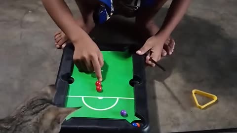 Pro Cat 😍