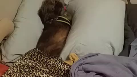 Case of the Monday's