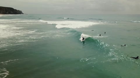 Watch the professional sport of sea surfing