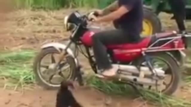 Hitchhiking Man for a Very Cute Monkey🦧🏍🚶‍♂️