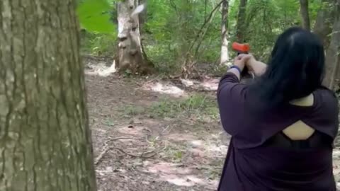 Firearms Training