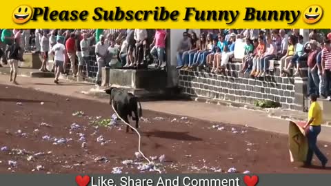 Dangerous Bull Fight Funny Compilation 2021
