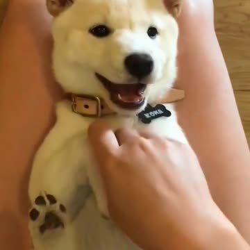 This side, and this side