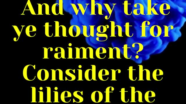 JESUS SAID... And why take ye thought for raiment? Consider the lilies of the field