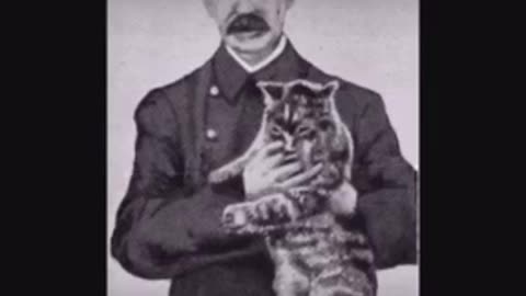 O gato vigilante do Museu Britânico (The British Museum's Vigilante Cat)