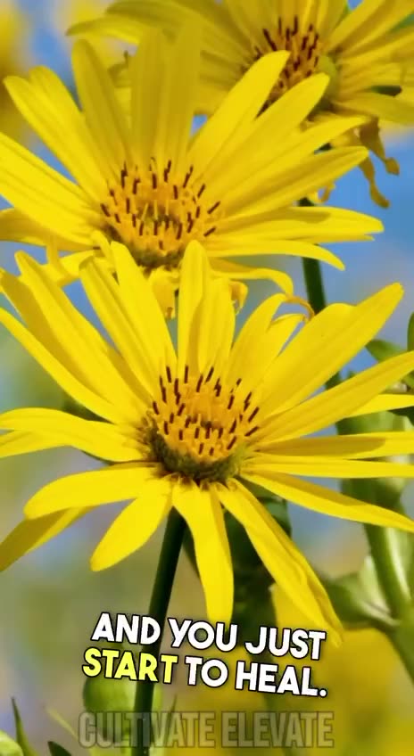 How the rockefellers defunded natural healing