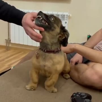 For this I did not imagine