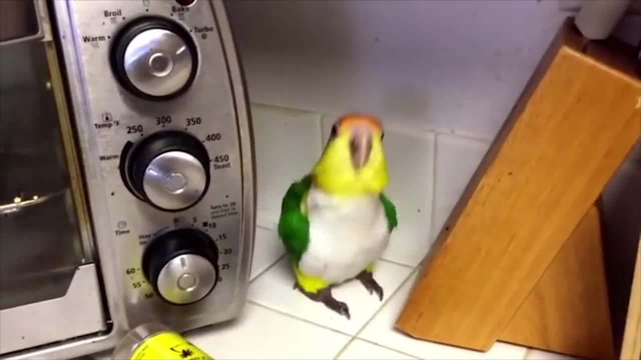 Let's get this party started