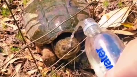 A day without laughter is a day without meaning🤣🤣🤣🤣🤣🤣🤣