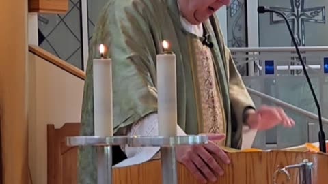 Homily for the 15th Sunday in Ordinary Time "B"