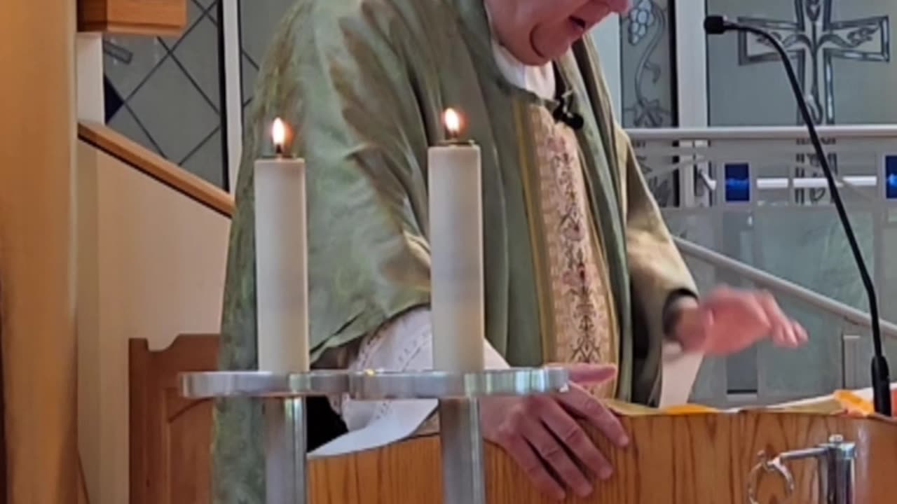 Homily for the 15th Sunday in Ordinary Time "B"