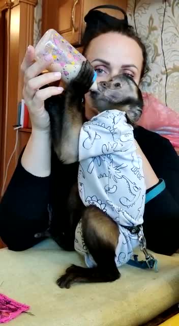 Мирошка пьёт кашку