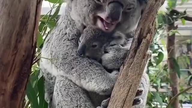 Nap time with baby 🥰