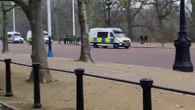 London police arrive to arrest peaceful anti lockdown protesters