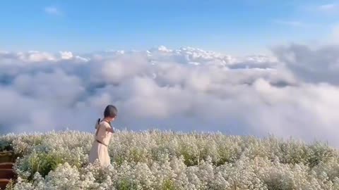 A sea of clouds room on the top of the mountain in Thailand