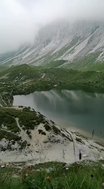 Awesome adventure to the lake with a cat