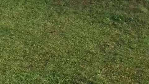Jardim botânico Curitiba