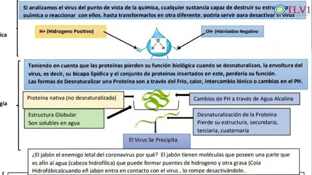 Especial Nº06 – Bondades de Aqualina frente al coronavirus