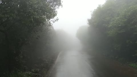 Rain sound to feel nature