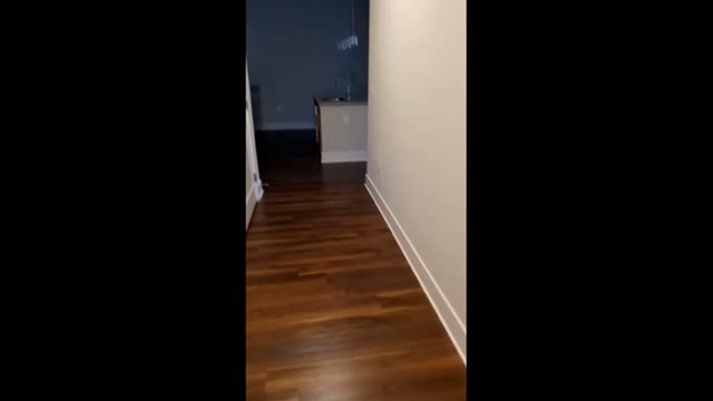 Funny lovely nice video with dog dancing must watch to see what happen