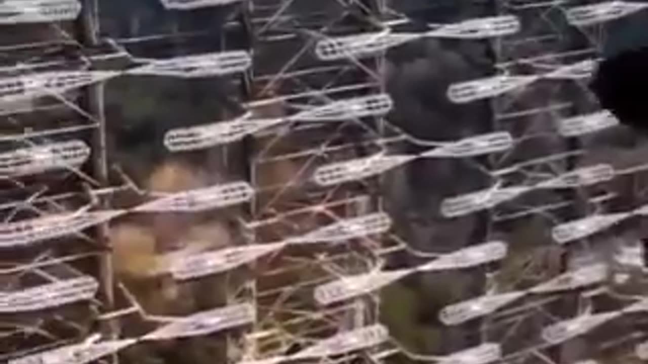 World's oldest & largest HAARP system is in the US ''DUGA-3 CHERNOBYL'', link in the comments for more details..