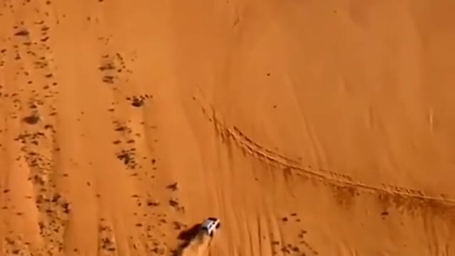 professional driver