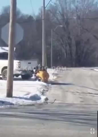 You call, we haul. No load is to large! Mooooving on in Kansas City