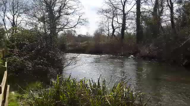 Gentle flow of river