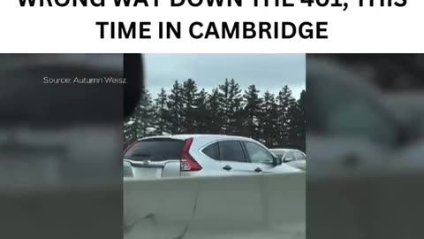 Another Car is Driving the Wrong Way on the 401!