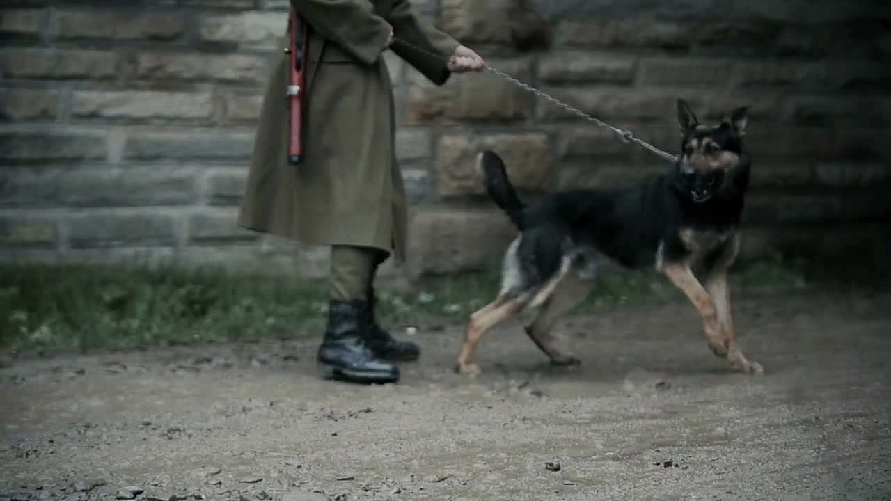 Captured prisoners guarded by soldiers with dogs Cold war concept