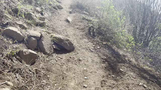 Climbing the Very Steep Black Butte Trail – Deschutes National Forest – Central Oregon – 4K